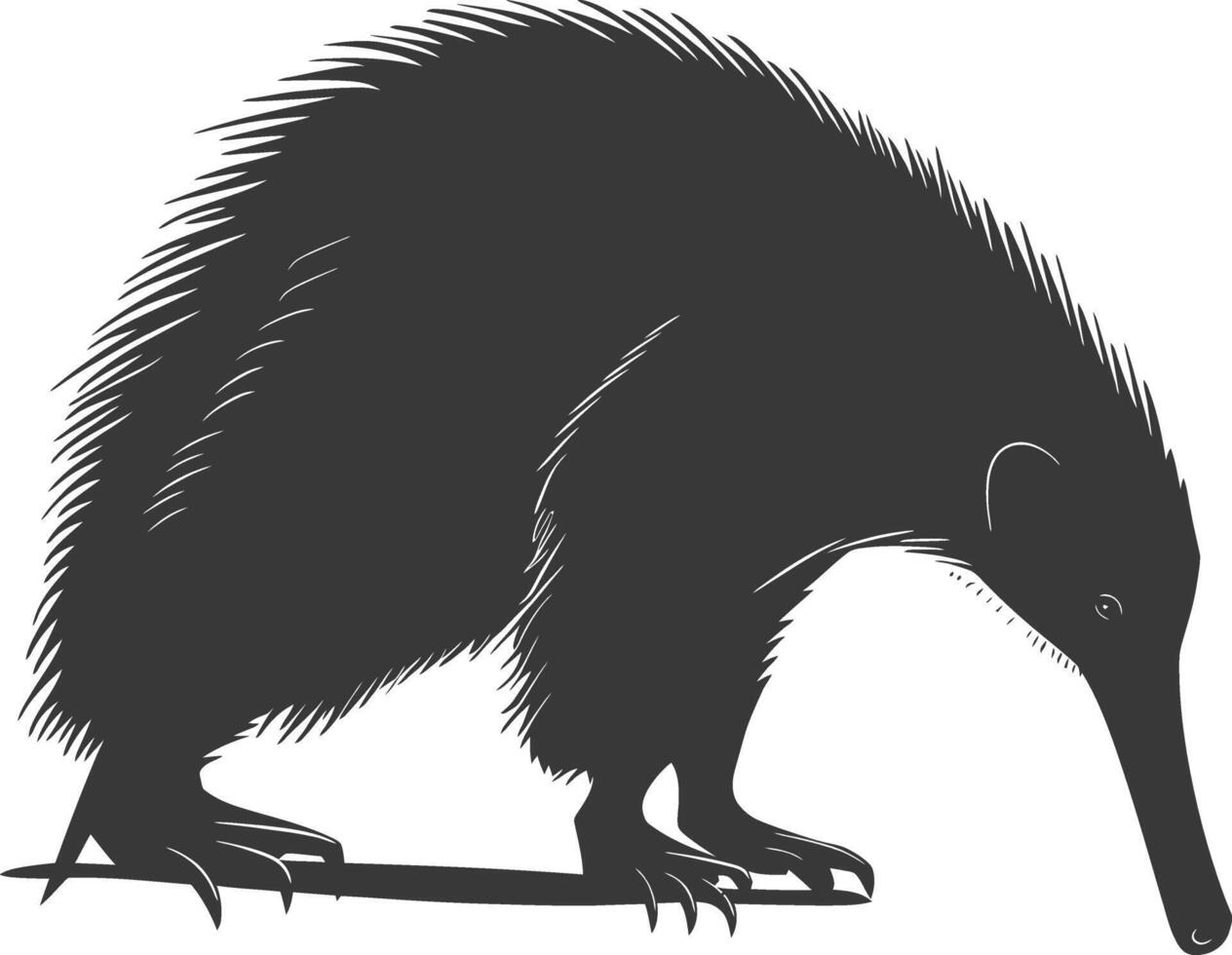 Silhouette Anteater animal black color only full body vector