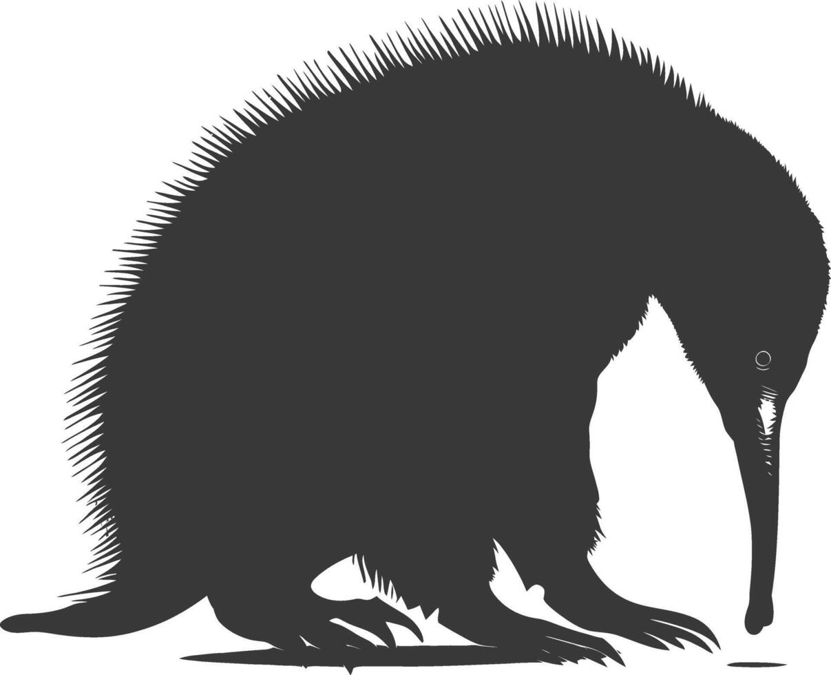 Silhouette Anteater animal black color only full body vector