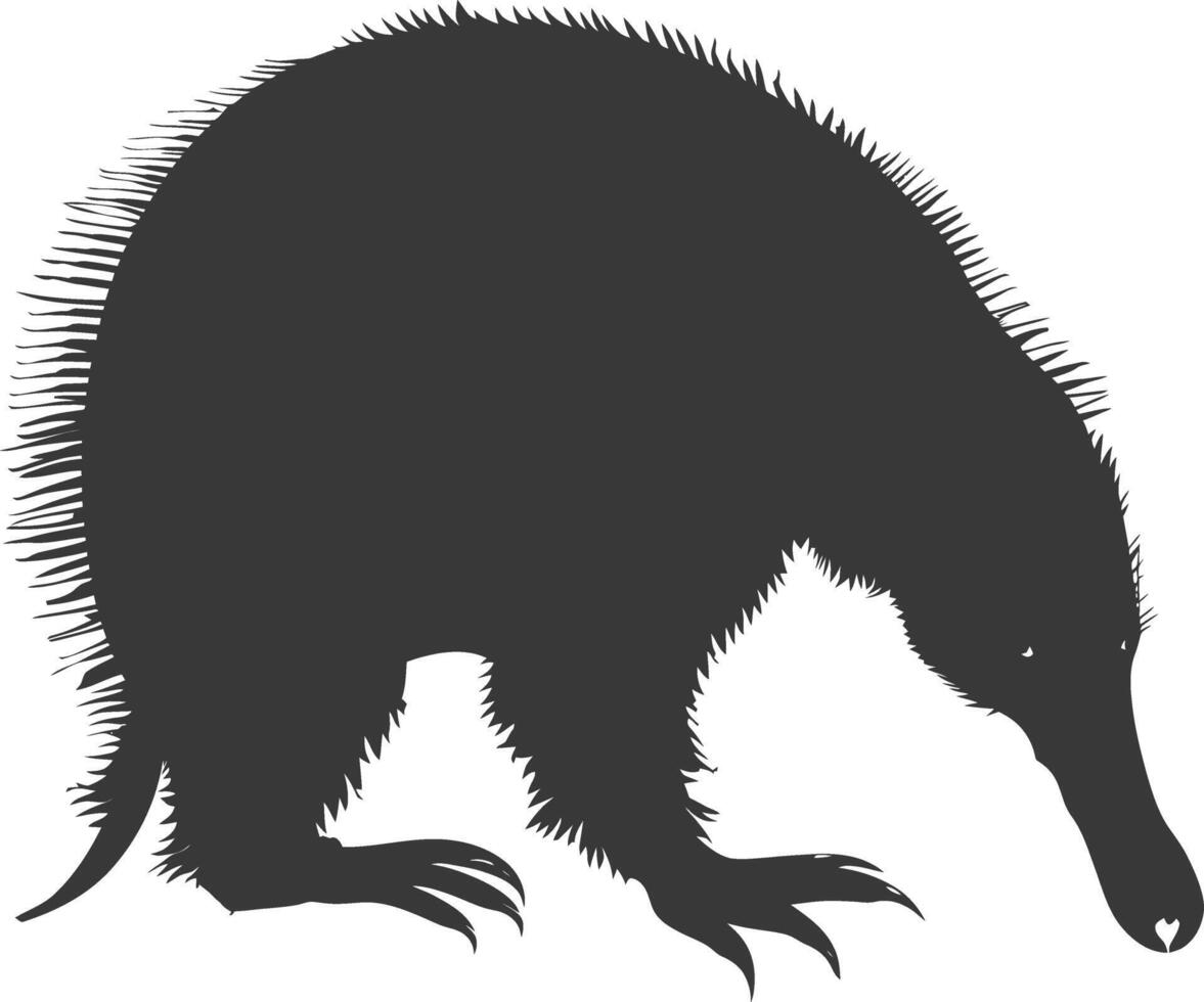 Silhouette Anteater animal black color only full body vector