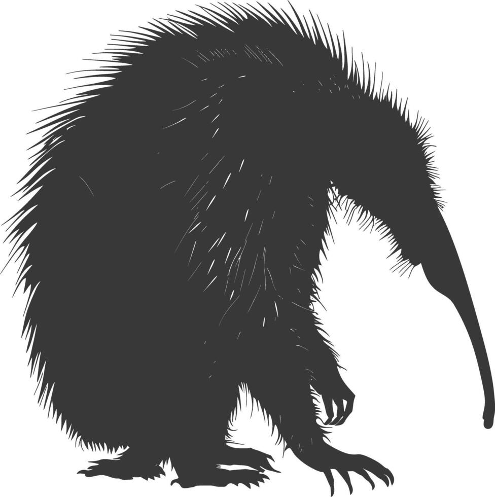 Silhouette Anteater animal black color only full body vector