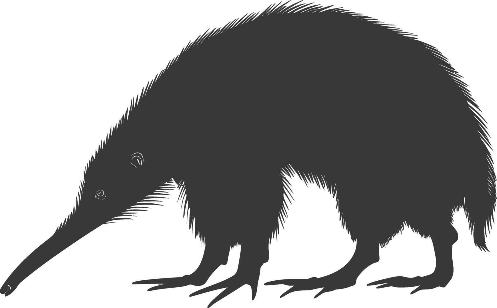 silueta oso hormiguero animal negro color solamente lleno cuerpo vector