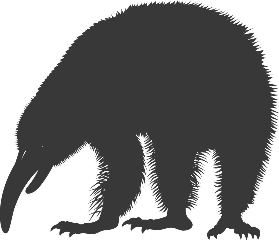 Silhouette Anteater animal black color only full body vector