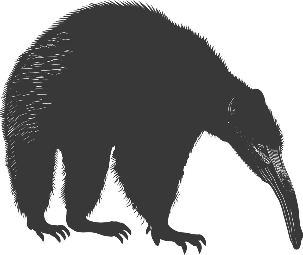 Silhouette Anteater animal black color only full body vector