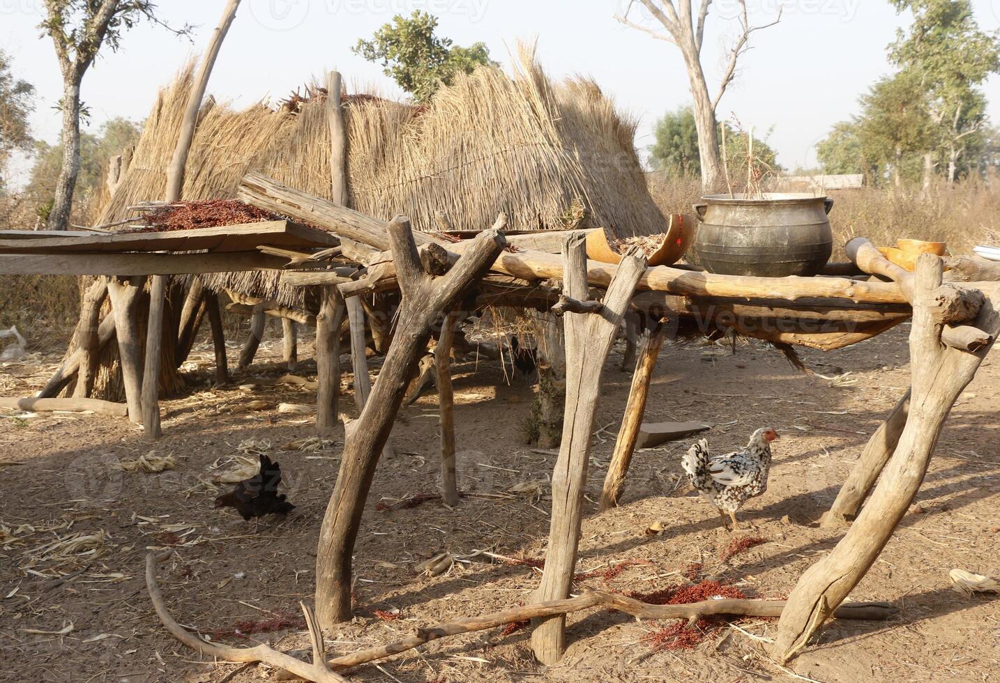 pueblo en el norte de benin con el nombre Kalale. el tribal personas tener su propio idioma y En Vivo desde agricultura. muchos casas son barro casas foto