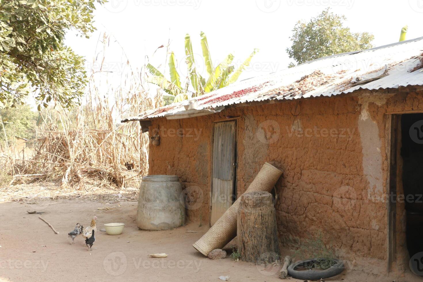 Village in the north of Benin with the name Kalale. The tribal people have their own language and live from farming. Many houses are mud houses. photo