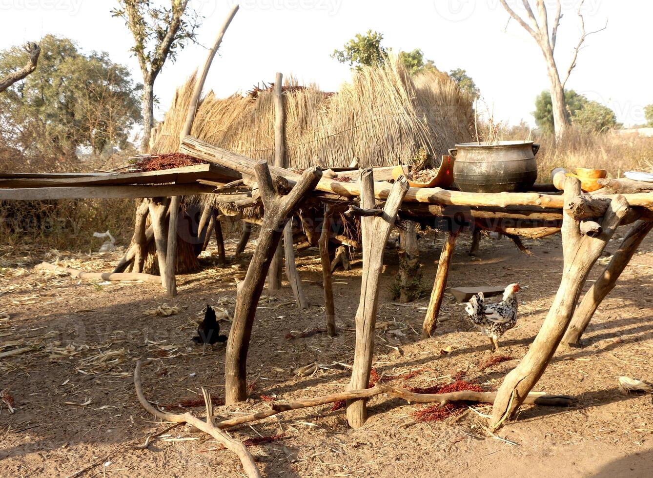 pueblo en el norte de benin con el nombre Kalale. el tribal personas tener su propio idioma y En Vivo desde agricultura. muchos casas son barro casas foto