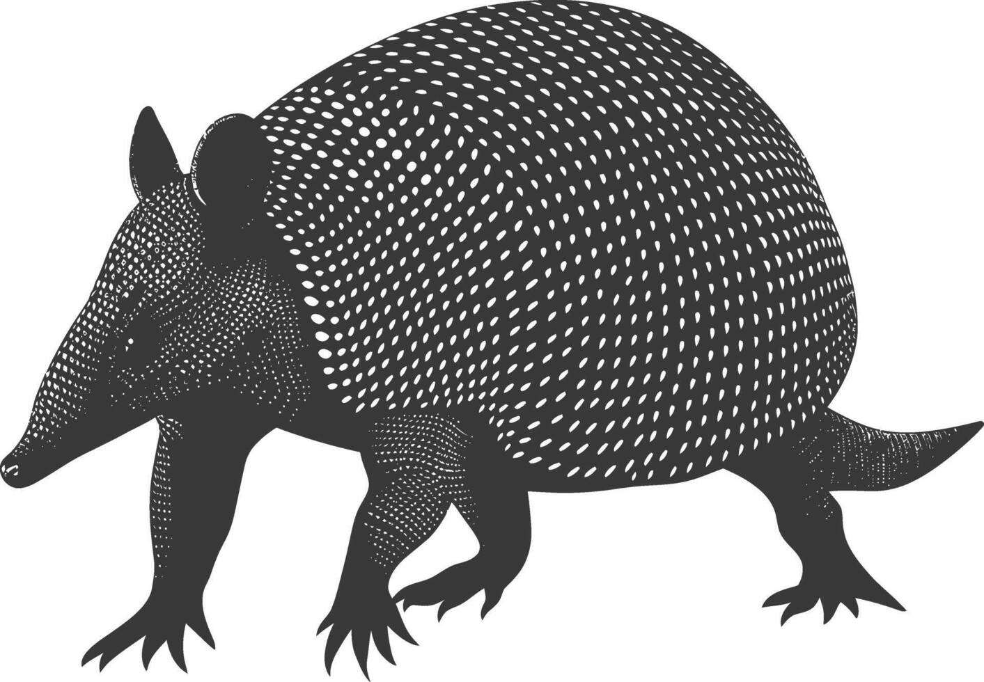Silhouette armadillo animal black color only full body vector
