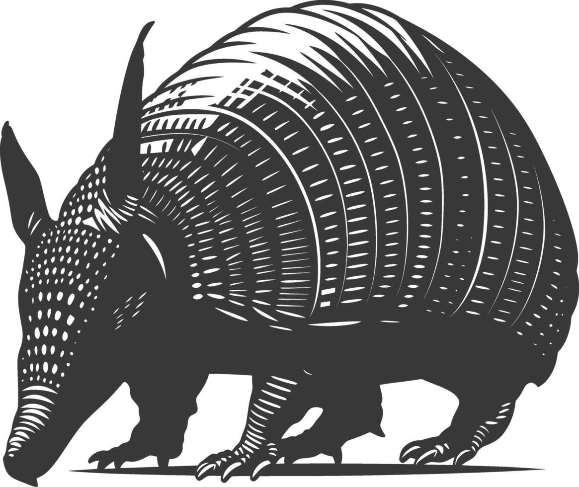 Silhouette armadillo animal black color only full body vector