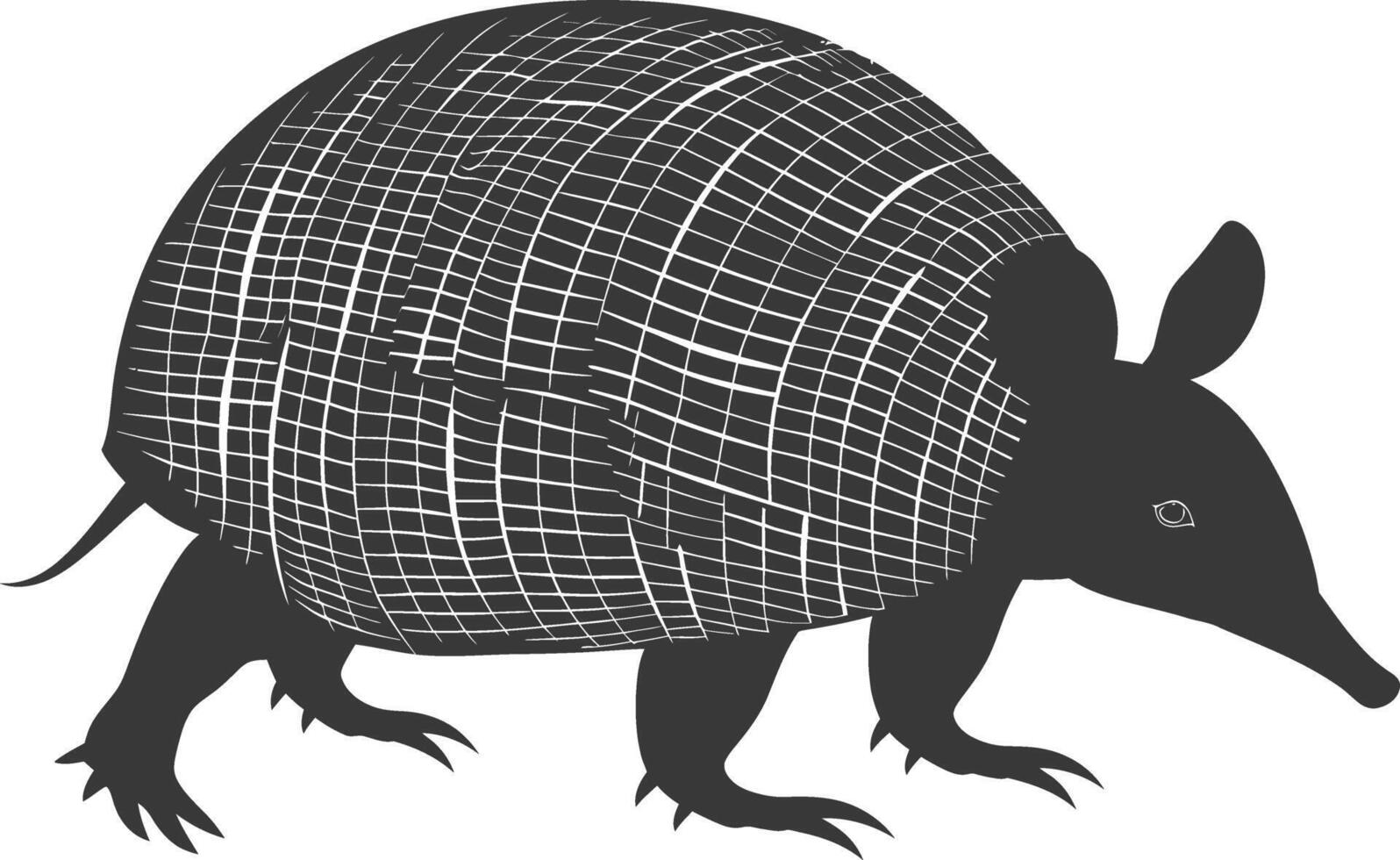 Silhouette armadillo animal black color only full body vector