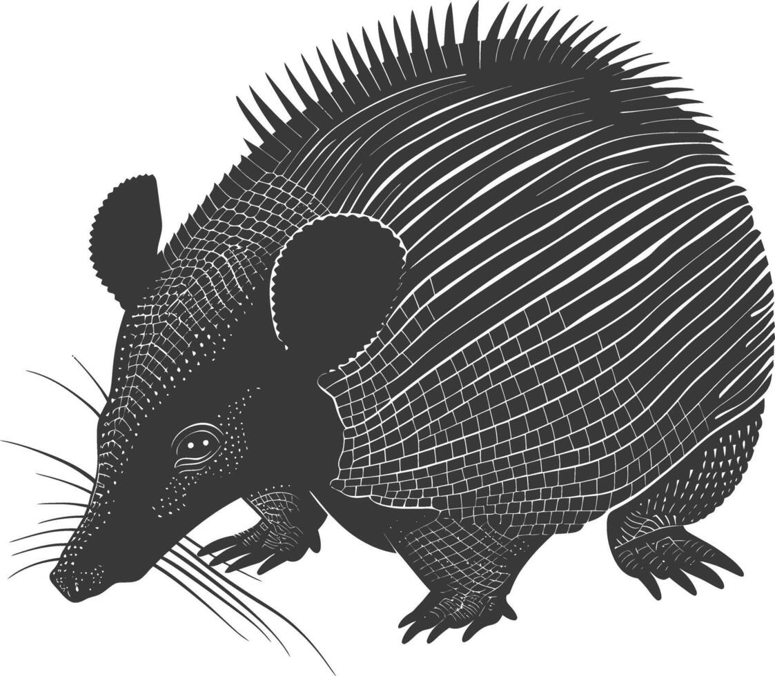 Silhouette armadillo animal black color only full body vector