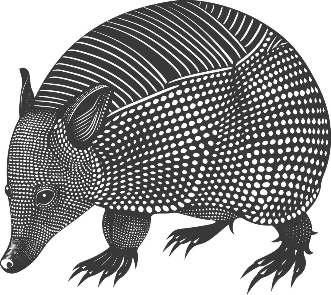 Silhouette armadillo animal black color only full body vector