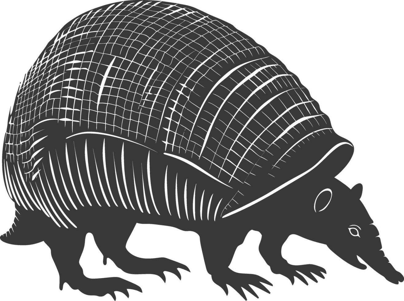 Silhouette armadillo animal black color only full body vector