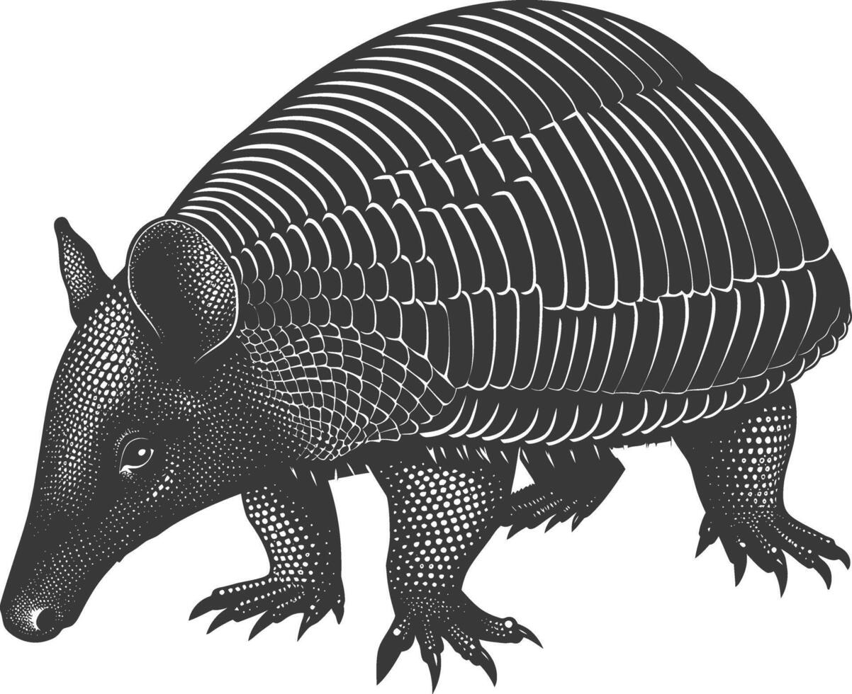 silueta armadillo animal negro color solamente lleno cuerpo vector