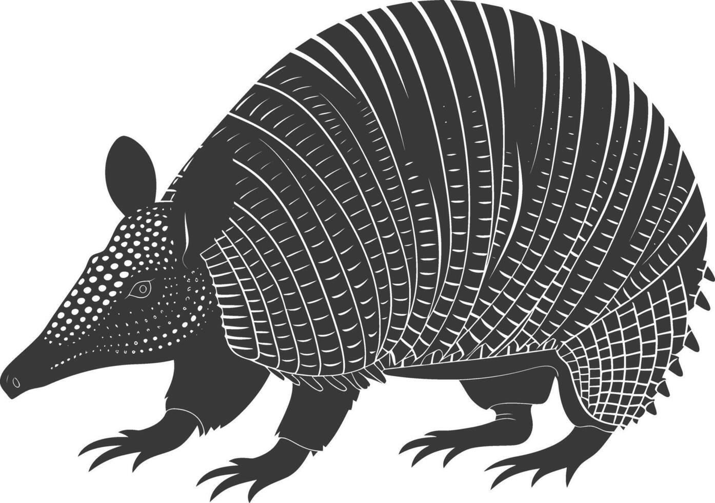 Silhouette armadillo animal black color only full body vector