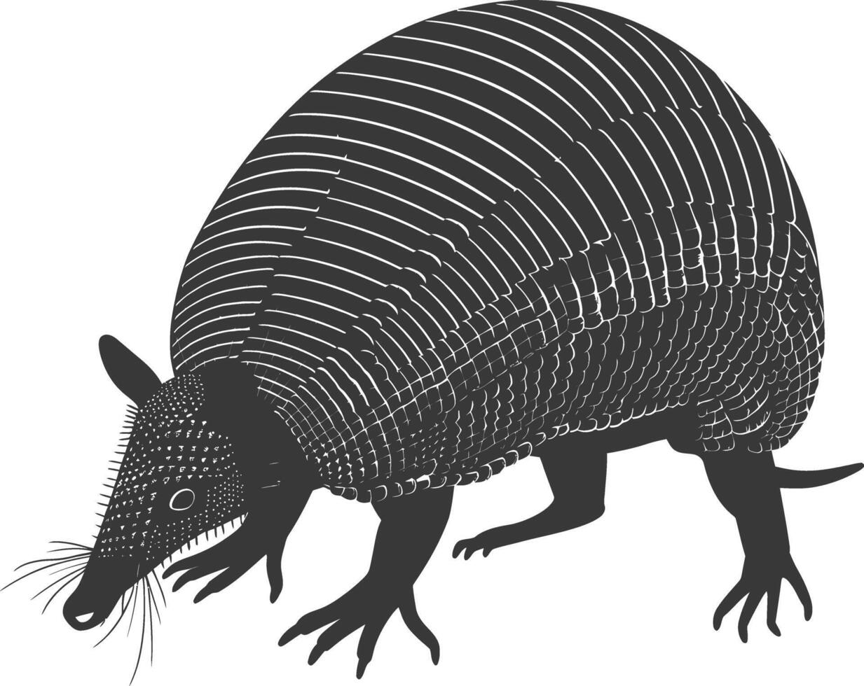 Silhouette armadillo animal black color only full body vector