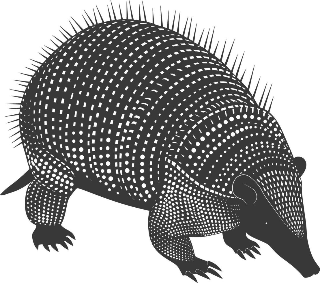 Silhouette armadillo animal black color only full body vector