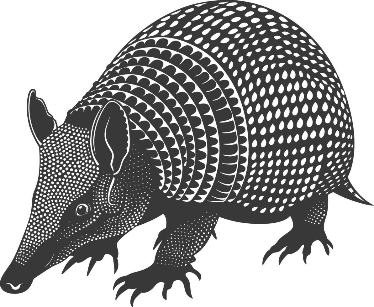 Silhouette armadillo animal black color only full body vector