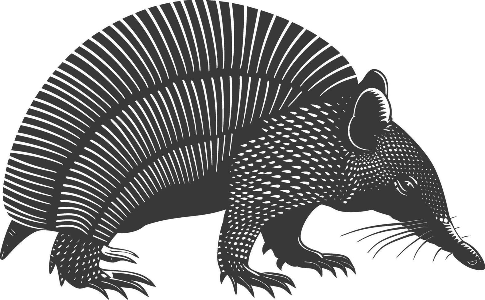 Silhouette armadillo animal black color only full body vector