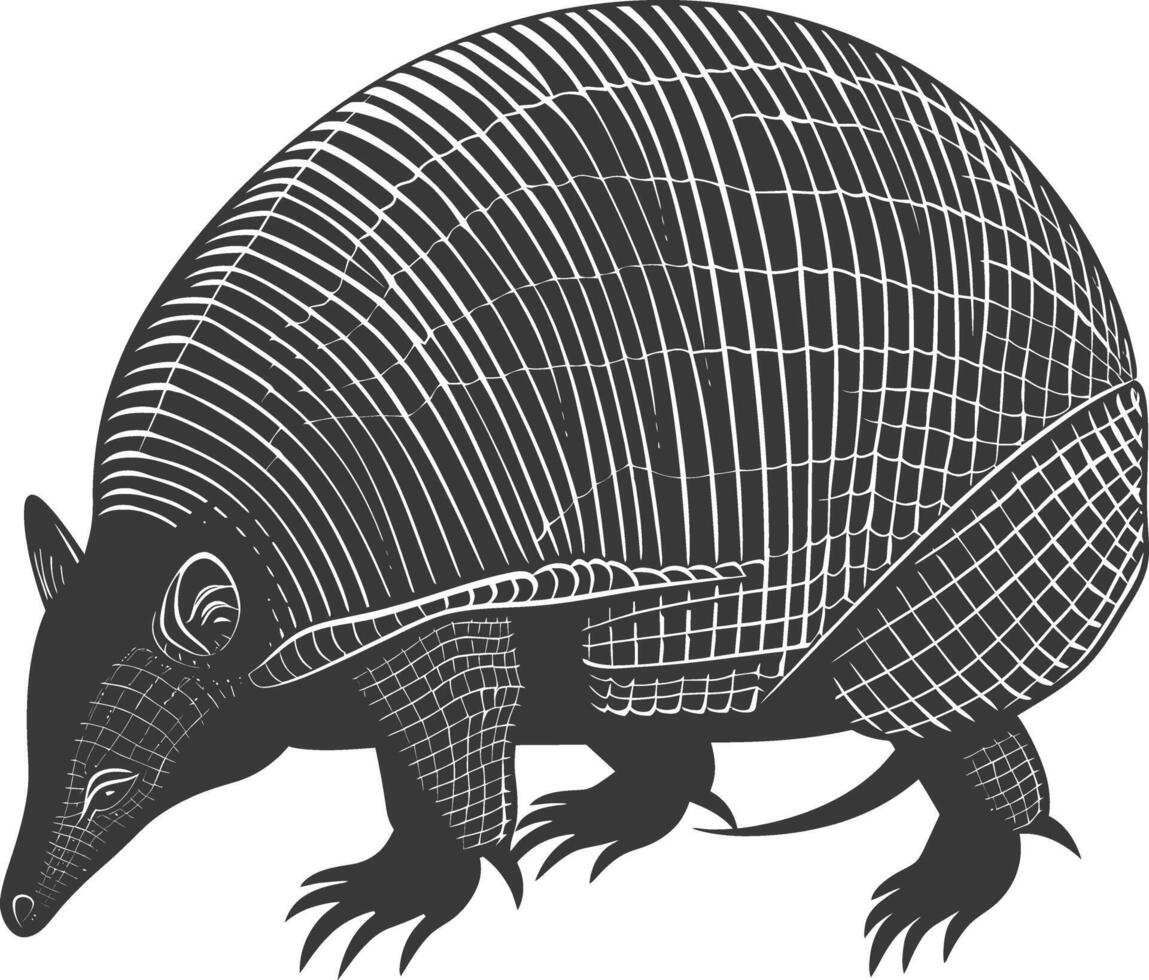 Silhouette armadillo animal black color only full body vector