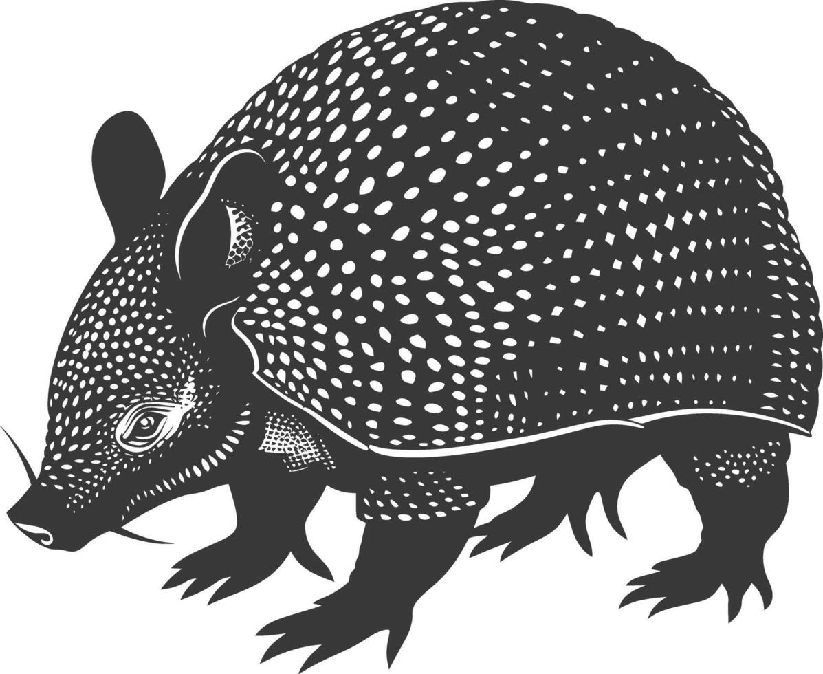 Silhouette armadillo animal black color only full body vector