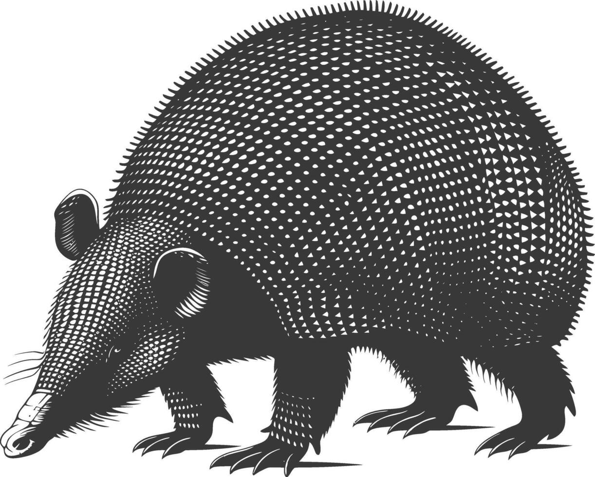 Silhouette armadillo animal black color only full body vector