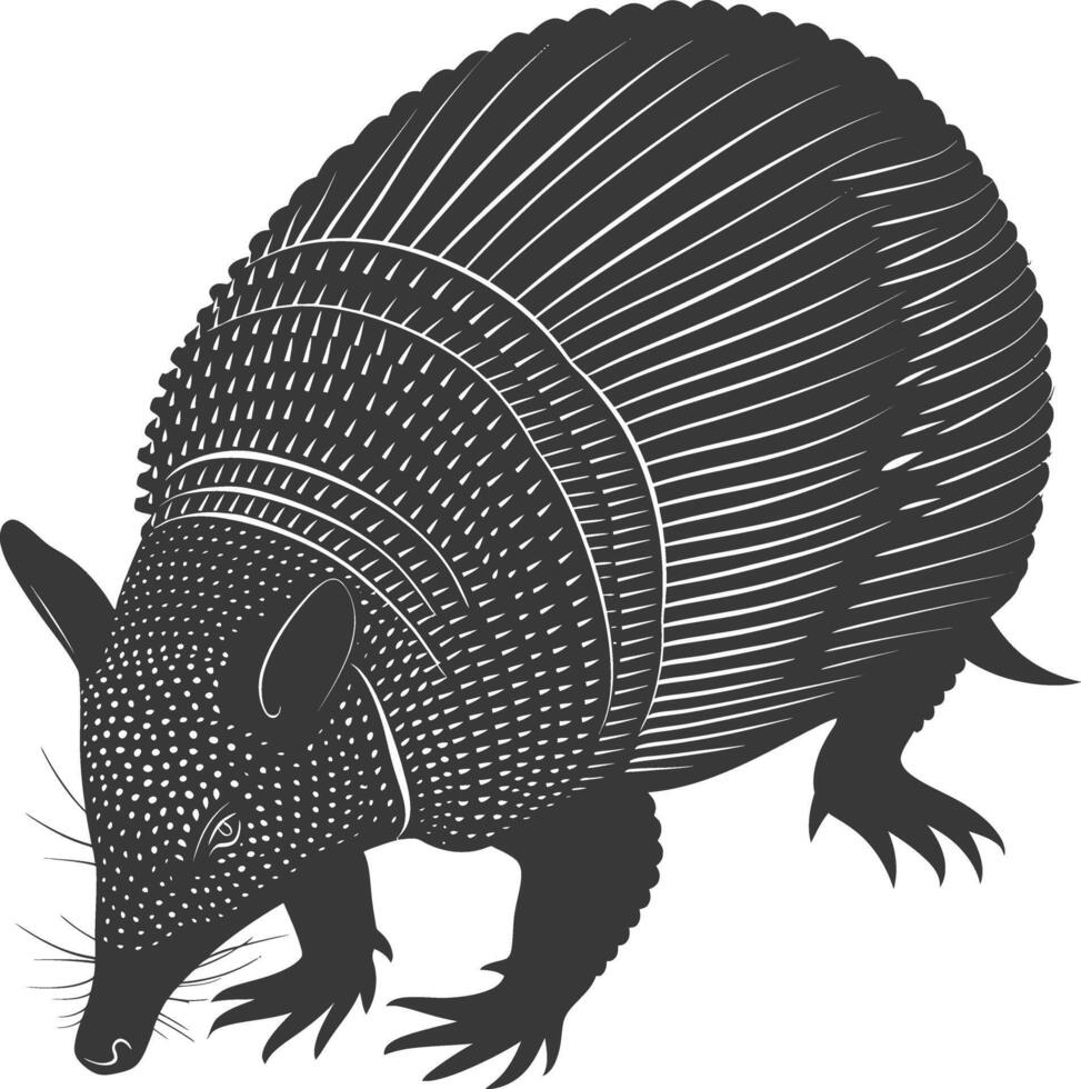 Silhouette armadillo animal black color only full body vector