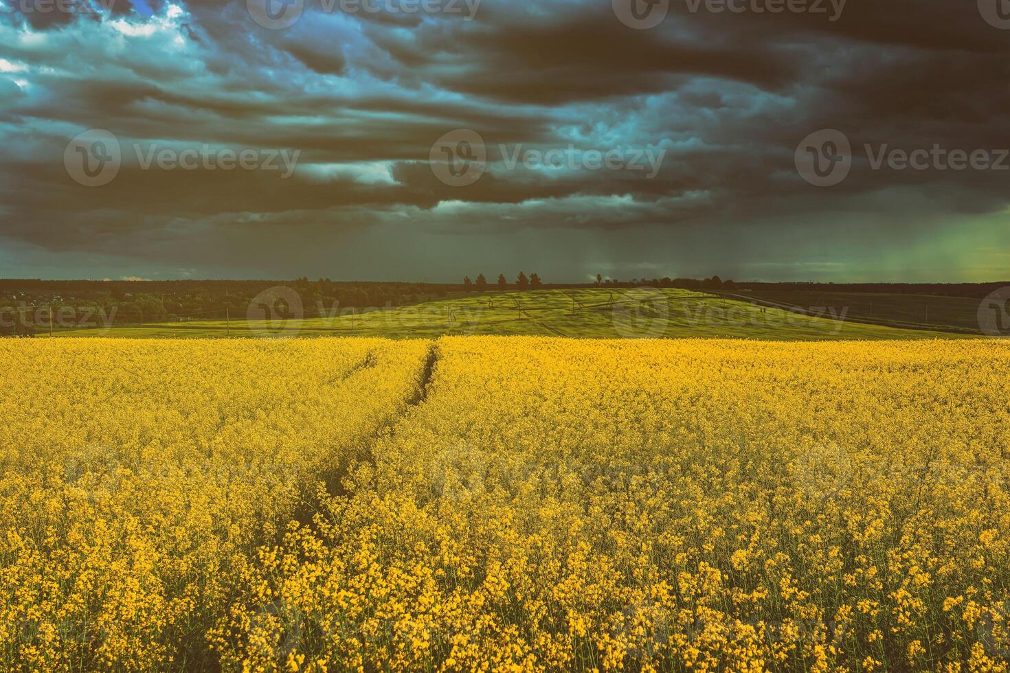 un que se acerca tormenta en un floración colza campo. estética de Clásico película. foto