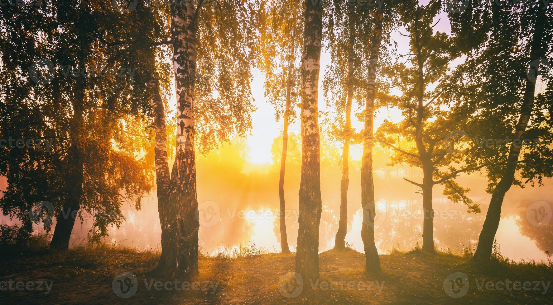 Dawn on a lake or river with a sky reflected in the water, birch trees on the shore and the sunbeams breaking through them and fog in autumn. Aesthetics of vintage film. photo