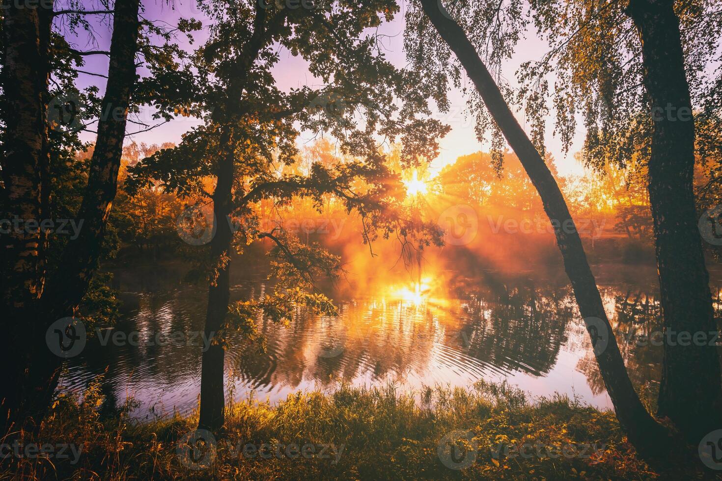 amanecer en un lago o río con un cielo reflejado en el agua, abedul arboles en el apuntalar y el rayos de sol rotura mediante ellos y niebla en otoño. estética de Clásico película. foto