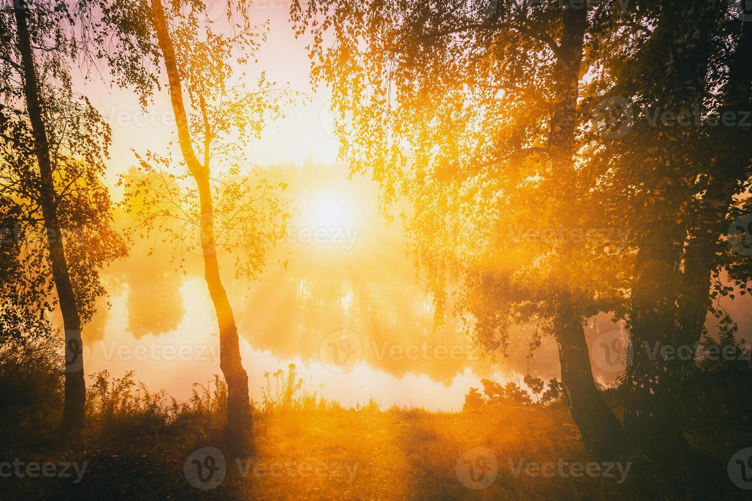 Dawn on a lake or river with a sky reflected in the water, birch trees on the shore and the sunbeams breaking through them and fog in autumn. Aesthetics of vintage film. photo