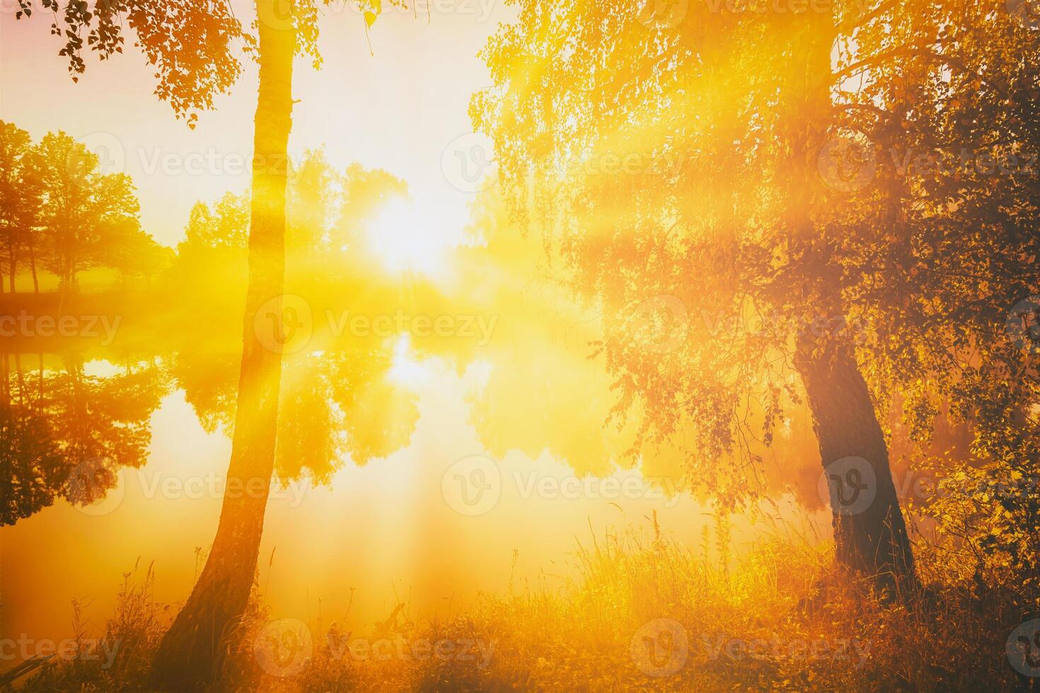 Dawn on a lake or river with a sky reflected in the water, birch trees on the shore and the sunbeams breaking through them and fog in autumn. Aesthetics of vintage film. photo