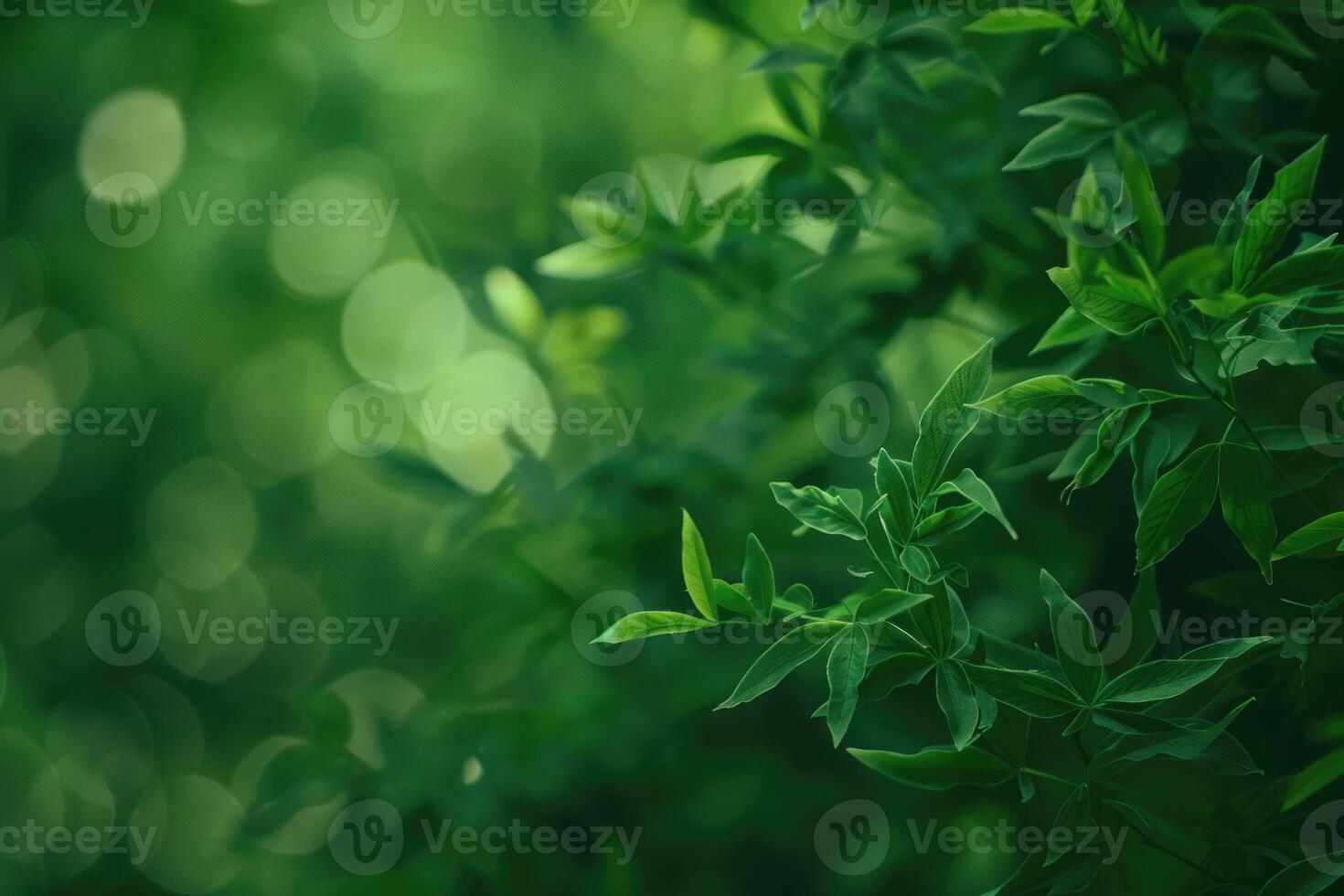 Green background with selective focus in nature. photo