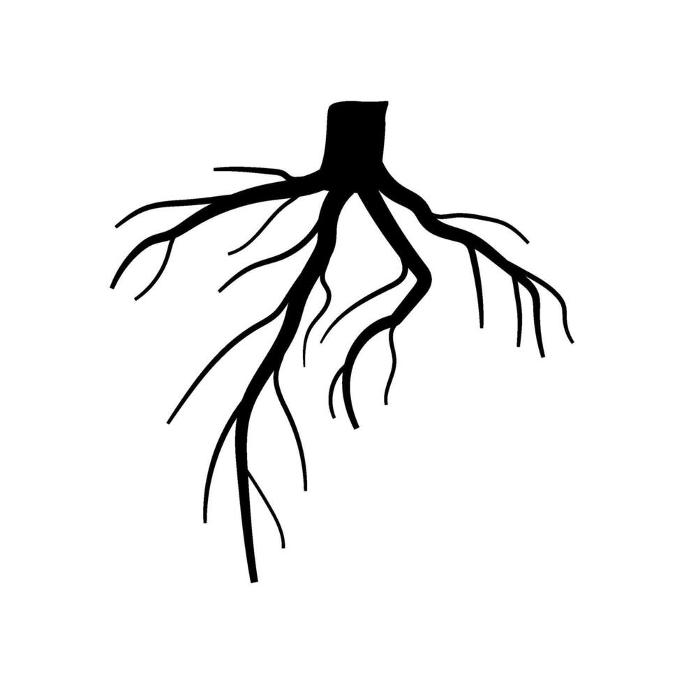 growth tree root cartoon illustration vector