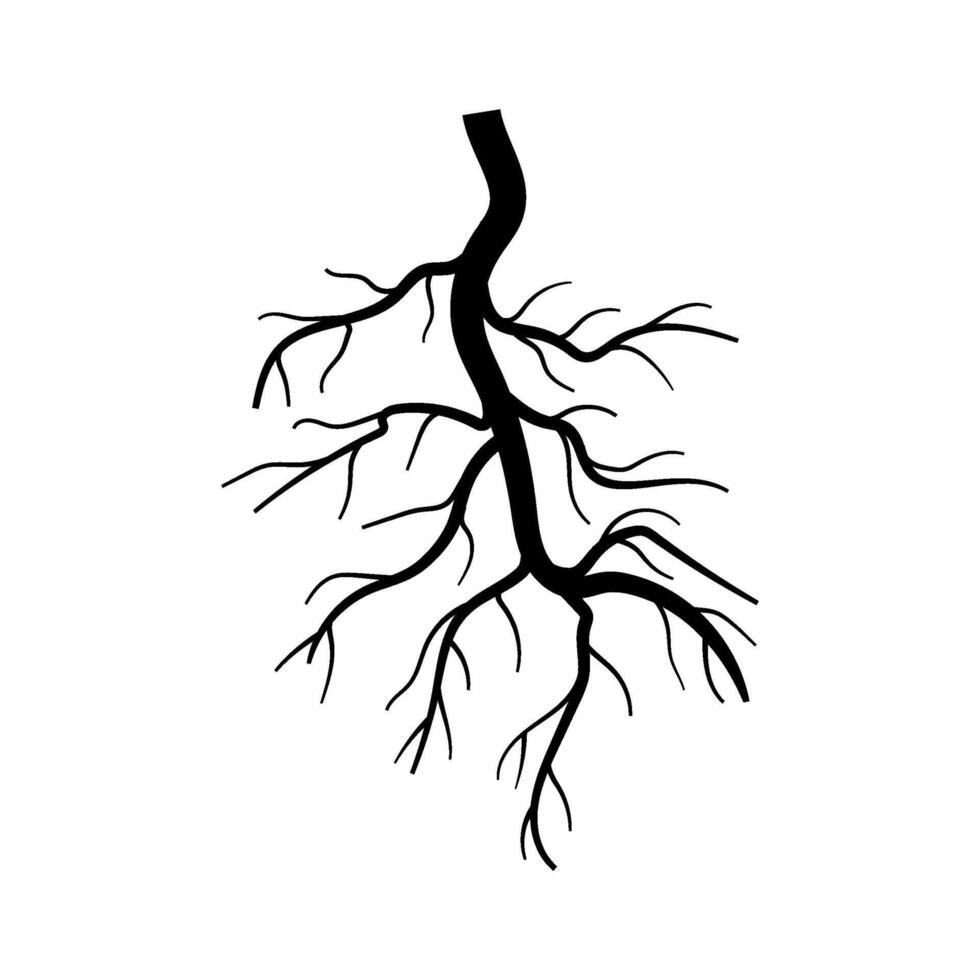 network tree root cartoon illustration vector