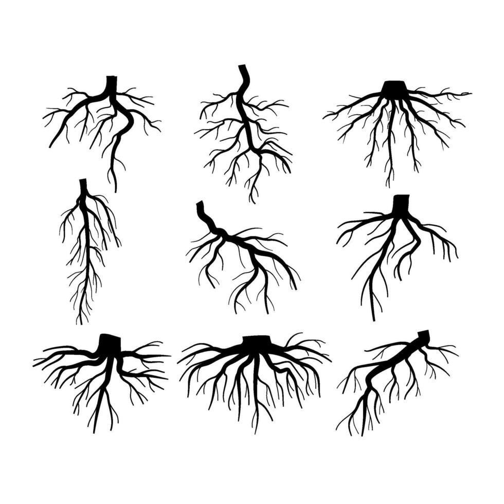 árbol raíz conjunto dibujos animados ilustración vector