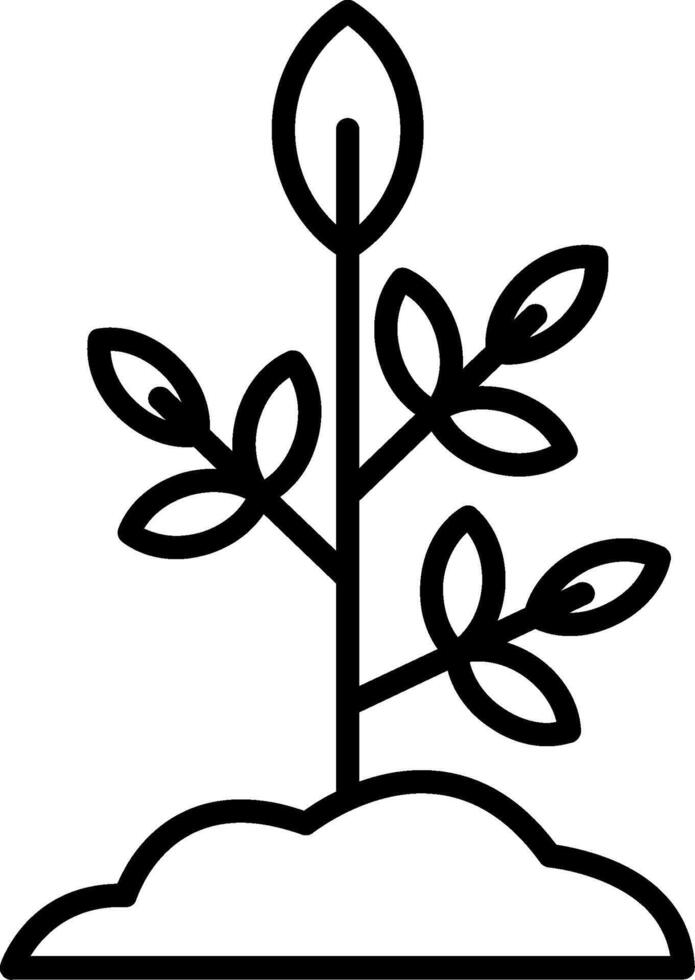 Plant Line Icon vector