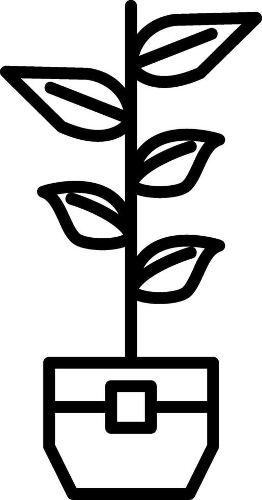Rubber Plant Line Icon vector