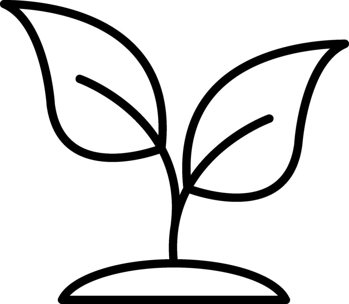 Basil Line Icon vector