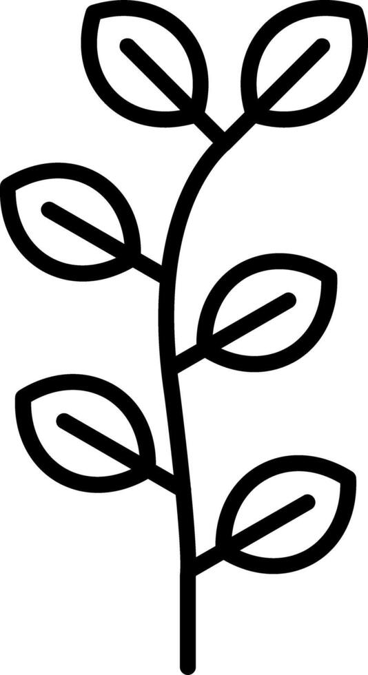 Eucalyptus Line Icon vector