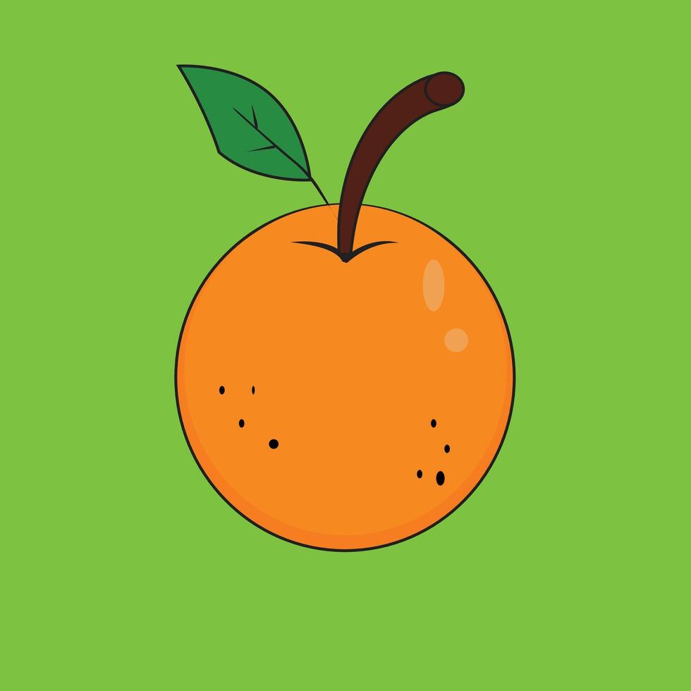 Orange Green Background. Healthy Food. Illustration isolated vector