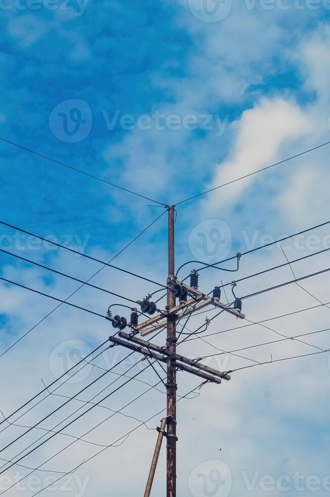 branches of old electricity poles on a cloudy blue sky background photo