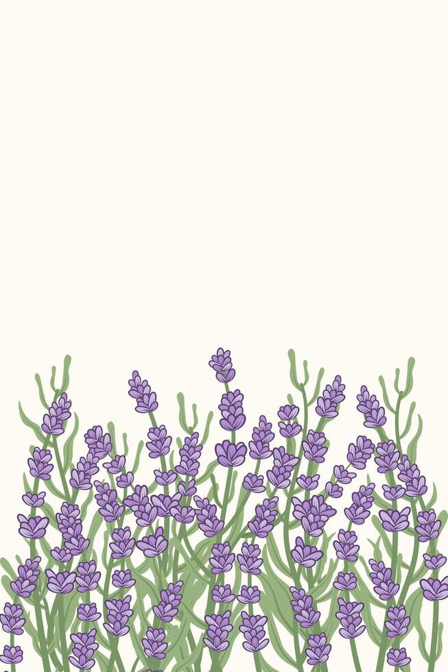 Hand-painted blooming lavender.Background with purple flowers at the bottom. Modern abstract painting. Template for social media and design cards, invitations, covers. vector