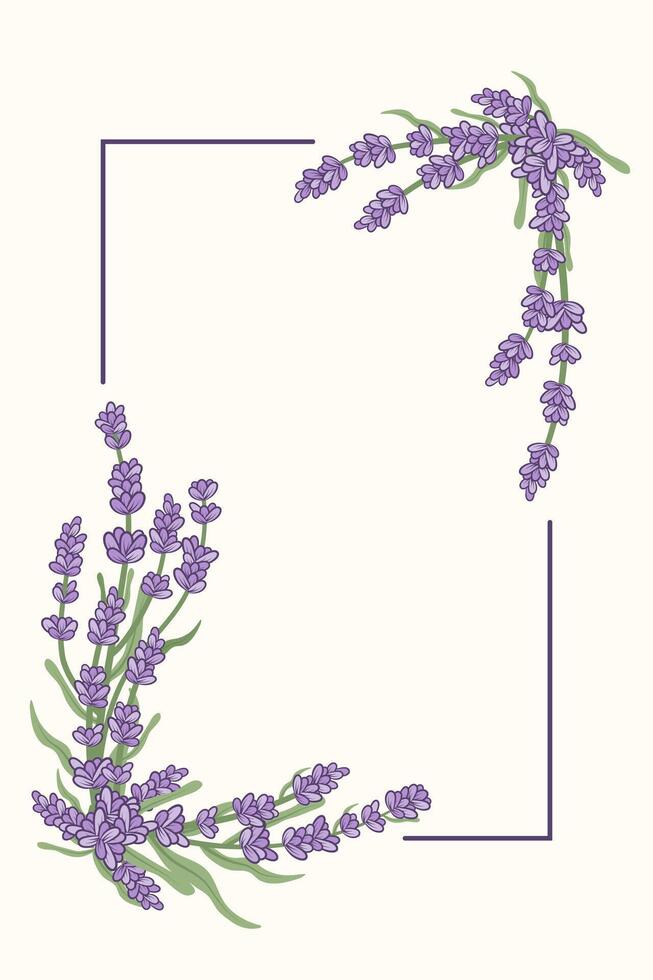 Rectangular frame of hand drawn lavender. Provence floral herbs with purple flowers. Flowering lavender gathered in bouquets. vector