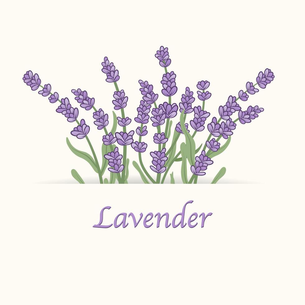 mano dibujado mano dibujado floreciente lavanda.contemporáneo resumen cuadro. modelo para social medios de comunicación y diseño tarjetas, invitaciones, cubre vector