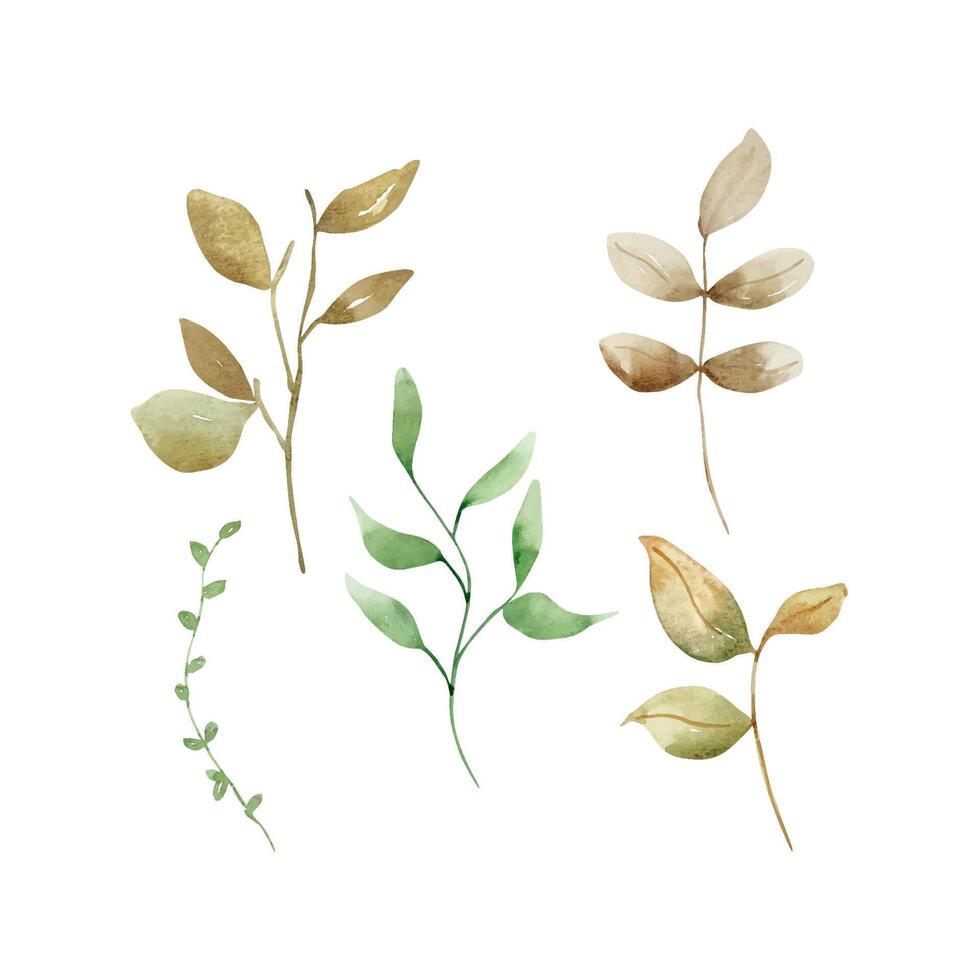 Watercolor set tender branch with leaves vector