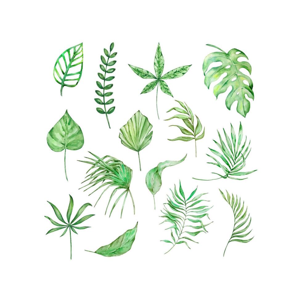 acuarela brillante verde tropical hojas, para verano diseños vector