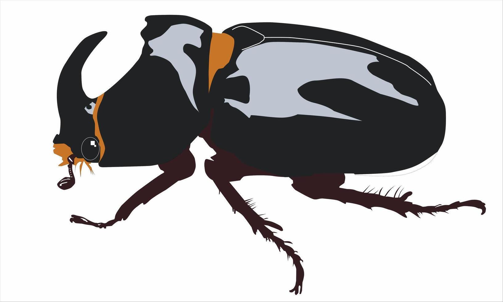 illustration of a black horned beetle on a white background vector