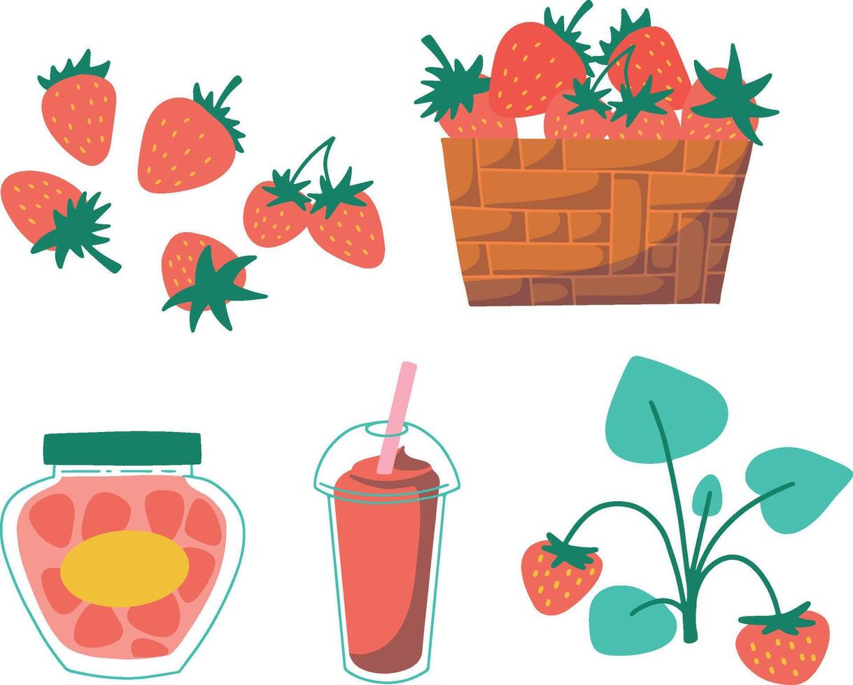 Strawberry Fruit Collections Set vector