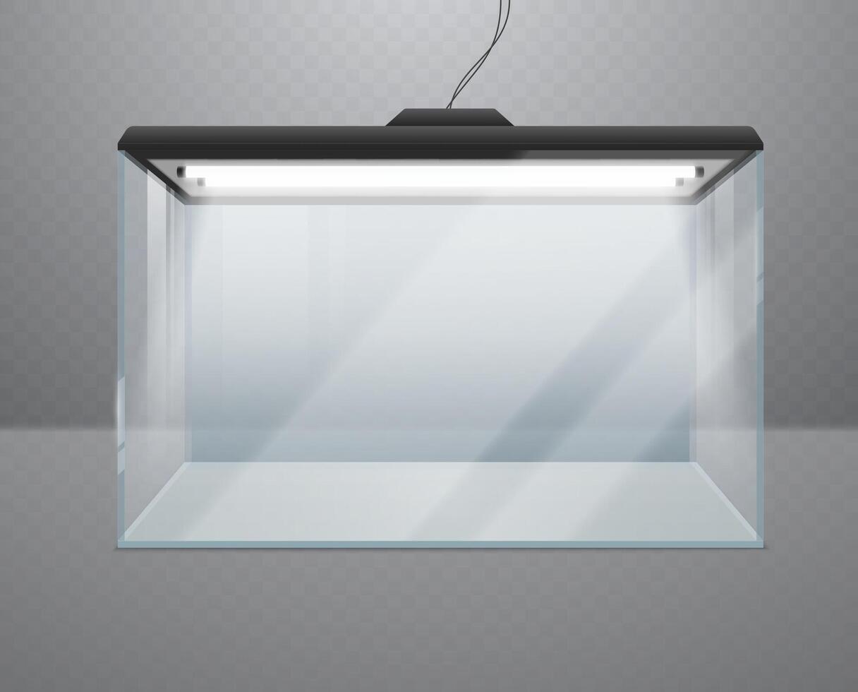 Transparent realistic glass cube or aquarium with lighting. vector
