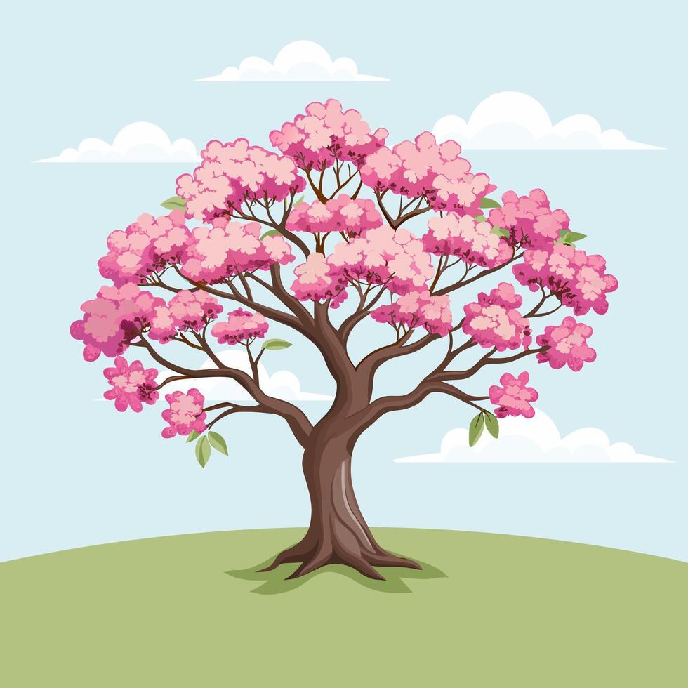 Beautiful cherry blossom tree with pink flowers. Sakura illustration. vector
